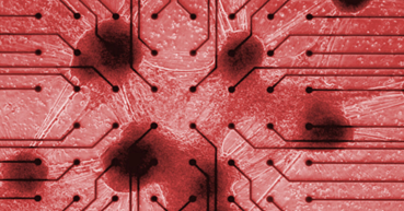 Interface organique / inorganique